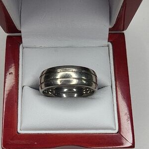 Titanium Silver Men's Band